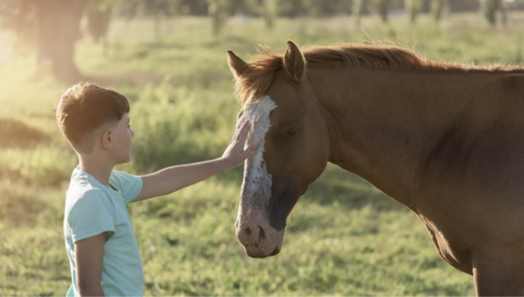 egy gyerek gyerek egy lóval a lovaglás előtt