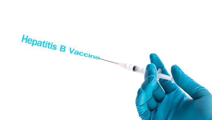 hepatitis b vírus