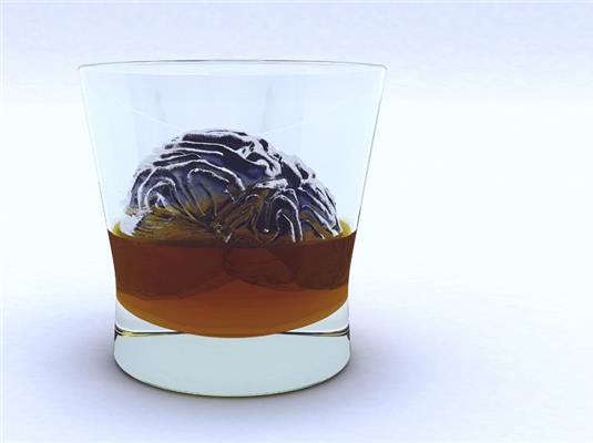 alkoholista szervezete)