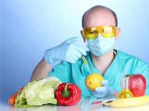 gmo