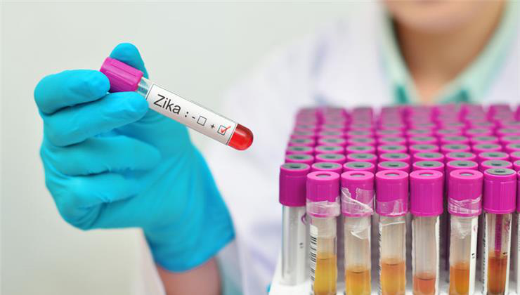 zika vírus